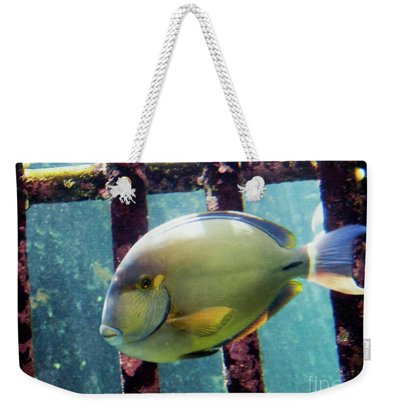 Fine Art Print Weekender Tote Bag featuring the photograph Down at the Shipwreck by Patricia Griffin Brett