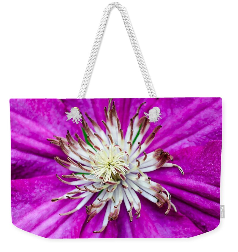 Clematis Weekender Tote Bag featuring the photograph Dr. Seuss Flower No. 1569 by Georgette Grossman