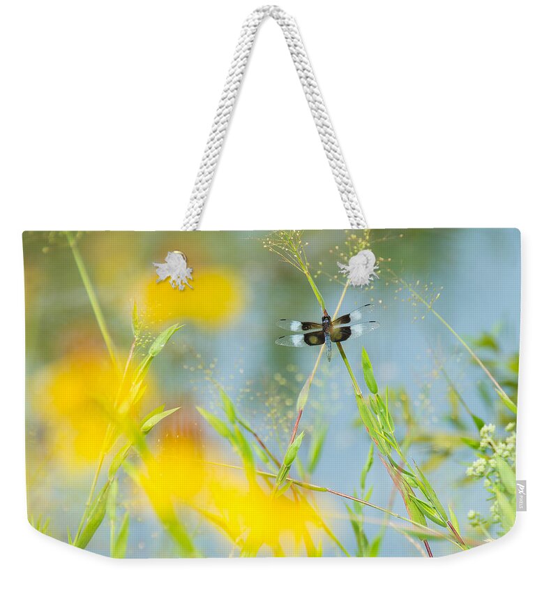 Dragonfly Weekender Tote Bag featuring the photograph Dragonfly Beauty by Stacy Abbott