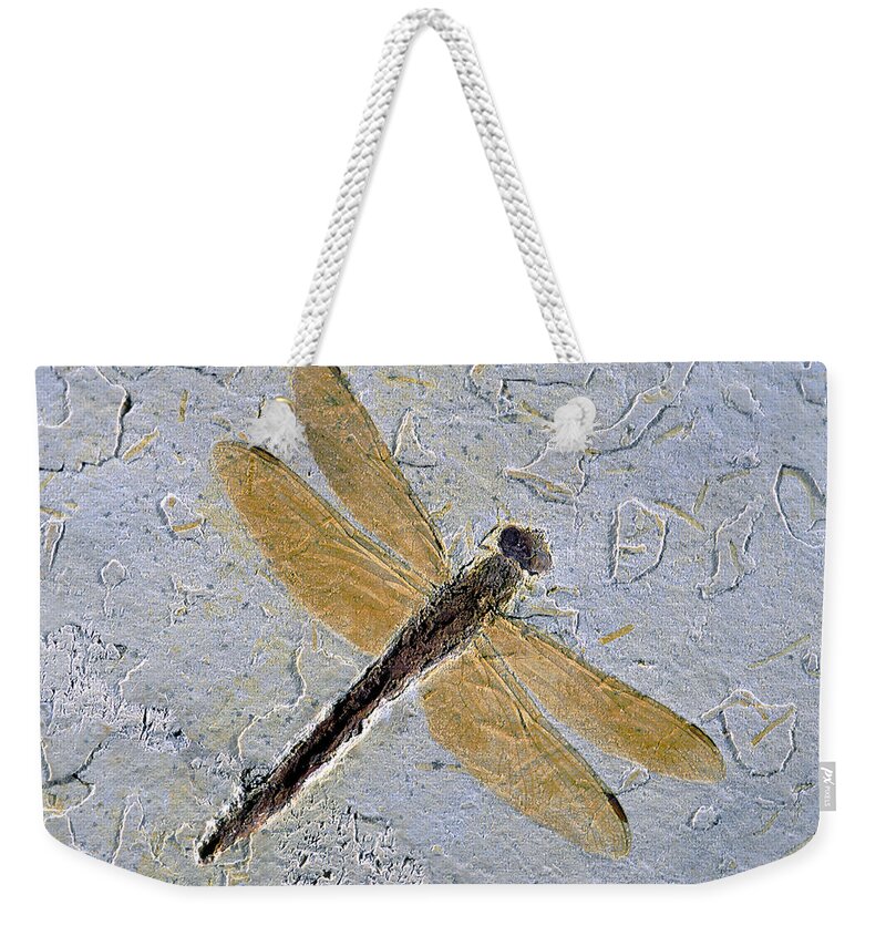 Ancient Dragonfly Weekender Tote Bag featuring the photograph Dragonfly Fossil by E.r. Degginger