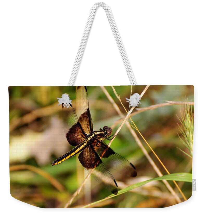 Dragonfly Weekender Tote Bag featuring the photograph Dragonfly by John Johnson