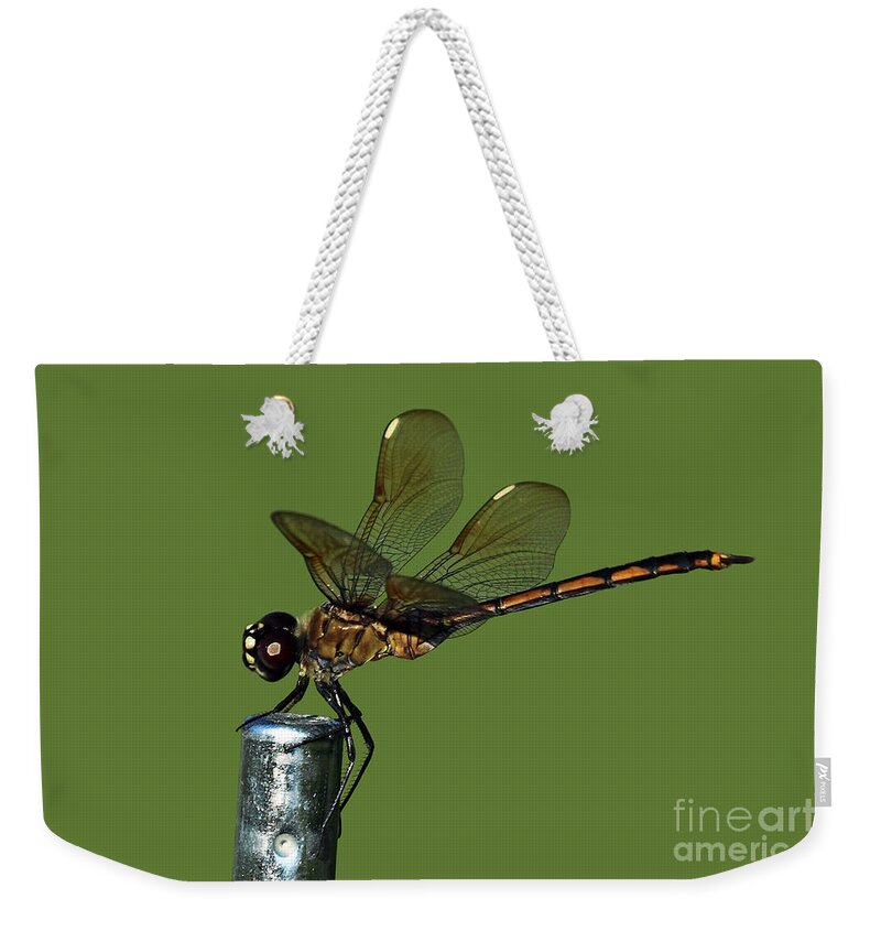 Dragonfly Weekender Tote Bag featuring the photograph Dragonfly by Meg Rousher