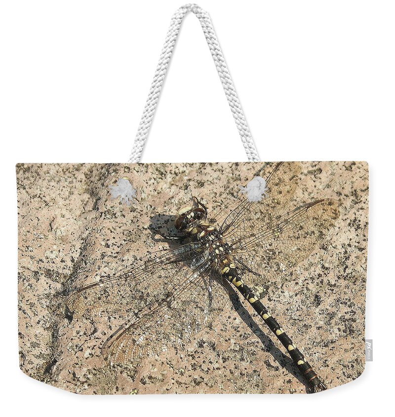 Dragonfly Weekender Tote Bag featuring the photograph Dragonfly on the rocks by Beth Collins