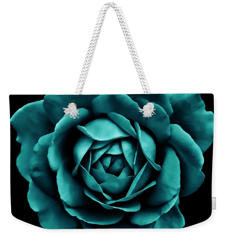 Rose Weekender Tote Bag featuring the photograph Dramatic Teal Green Rose Portrait by Jennie Marie Schell