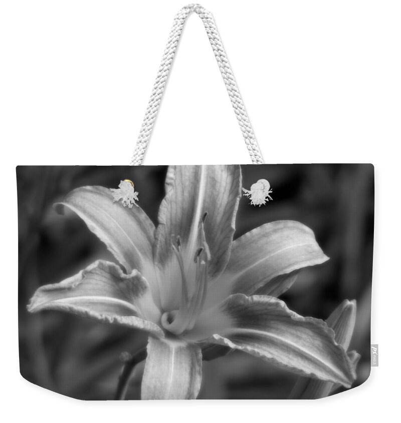 Floral Weekender Tote Bag featuring the photograph Dream of Lily by Lisa Blake