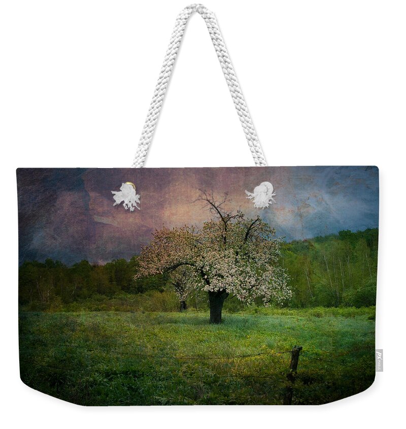 Image By Jeff Folger Weekender Tote Bag featuring the photograph Dream of Spring by Jeff Folger