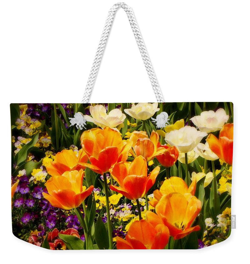 Fine Art Weekender Tote Bag featuring the photograph Dreaming in Color by Rodney Lee Williams