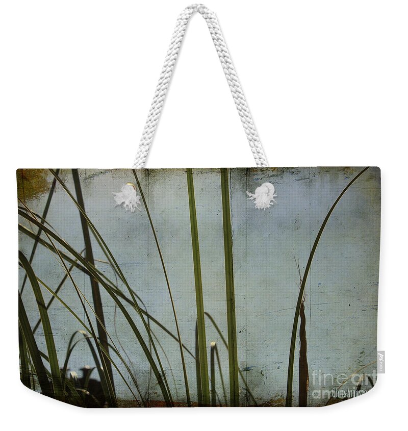  Grasses Weekender Tote Bag featuring the photograph Dreaming of Summer by Chris Armytage
