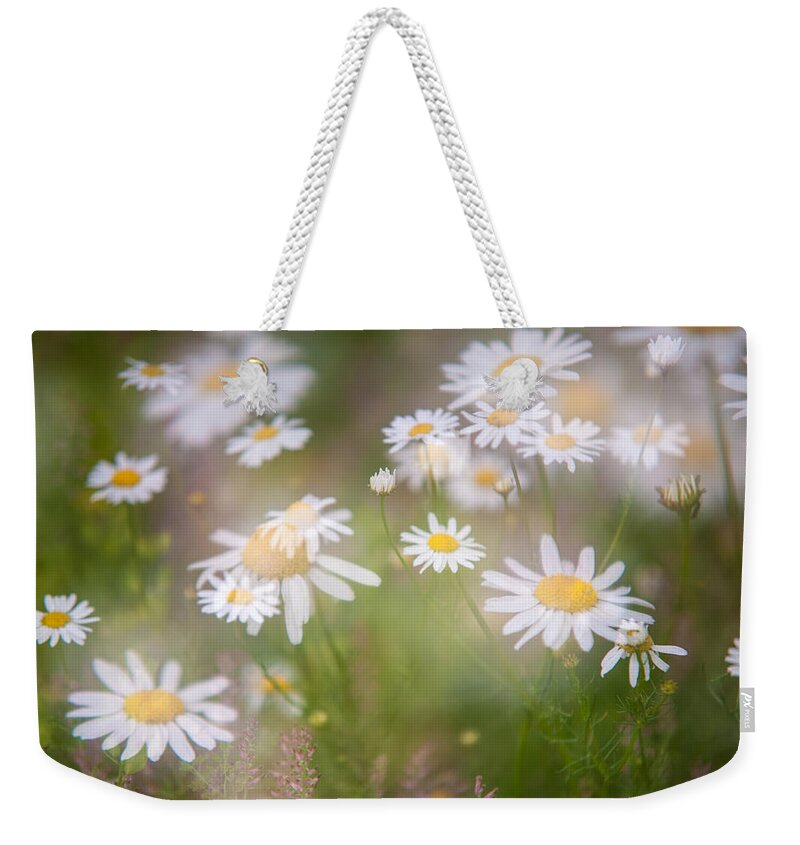 Daisy Weekender Tote Bag featuring the photograph Dreamy Daisies on Summer Meadow by Jenny Rainbow