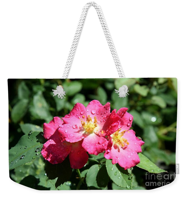 Briar Rose Weekender Tote Bag featuring the photograph Dressed In Tears by Christiane Schulze Art And Photography