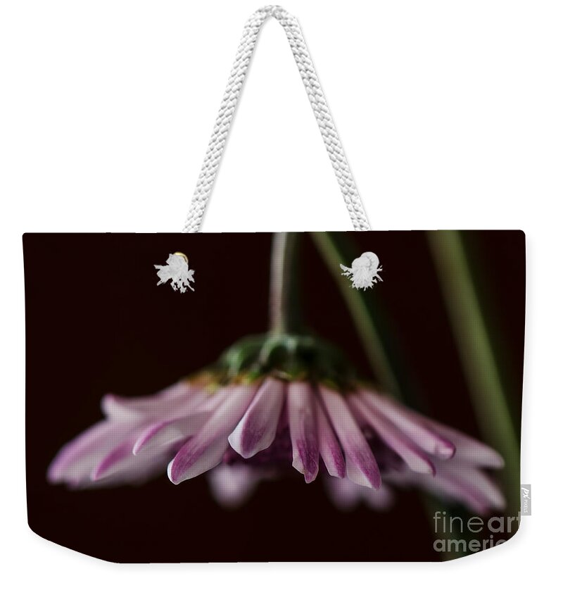 Daisy Weekender Tote Bag featuring the photograph Drooping by Lois Bryan