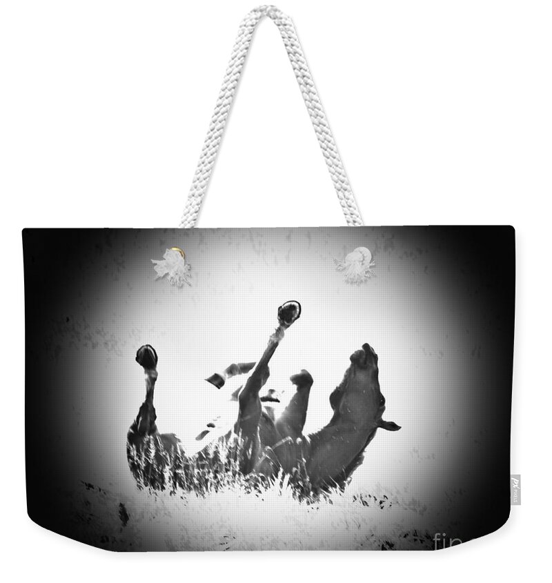 Horse Weekender Tote Bag featuring the photograph Drop and Roll by Cheryl Baxter