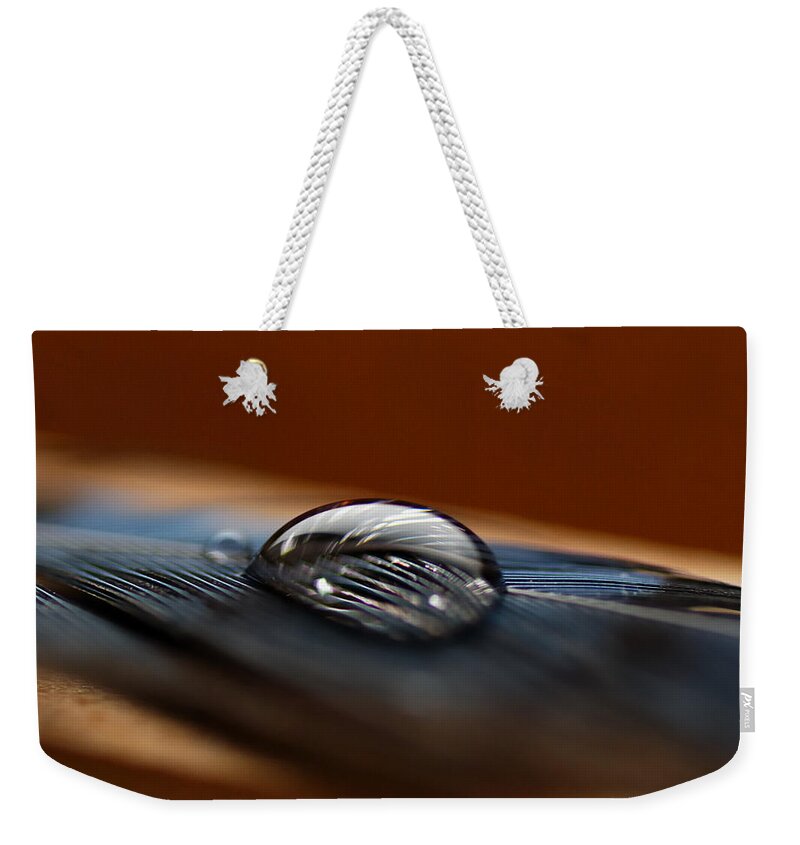 Abstract Weekender Tote Bag featuring the photograph Drop on a Bluejay Feather by Sue Capuano