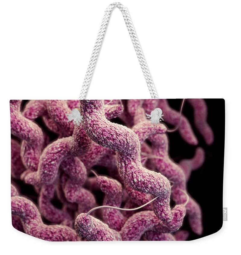 Drug Resistant Weekender Tote Bag featuring the photograph Drug-resistant Campylobacter by Science Source