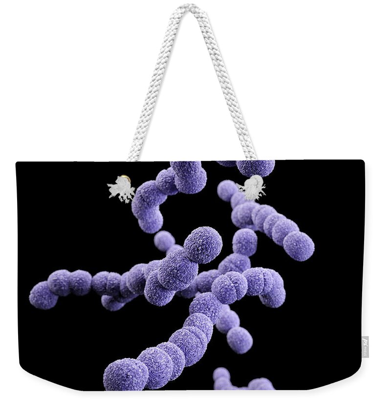 Clindamycin-resistant Group B Streptococcus Weekender Tote Bag featuring the photograph Drug-resistant Group B Streptococcus by Science Source
