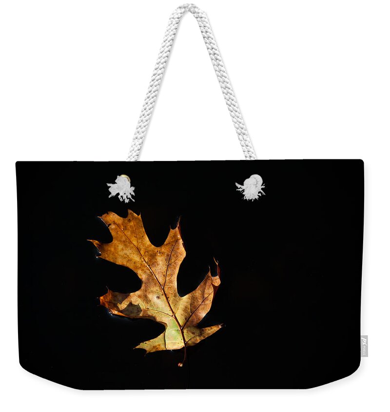 Leaf Weekender Tote Bag featuring the photograph Dry on Water by Karol Livote