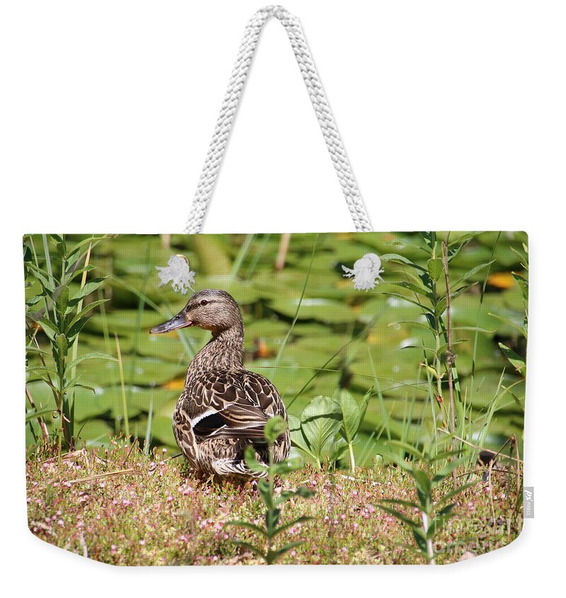 Nature Weekender Tote Bag featuring the photograph Duck in the grass by Amanda Mohler