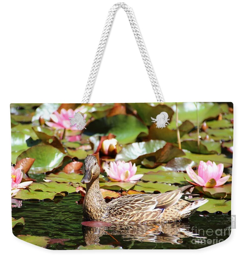 Lilies Weekender Tote Bag featuring the photograph Duck in the Water Lilies by Amanda Mohler