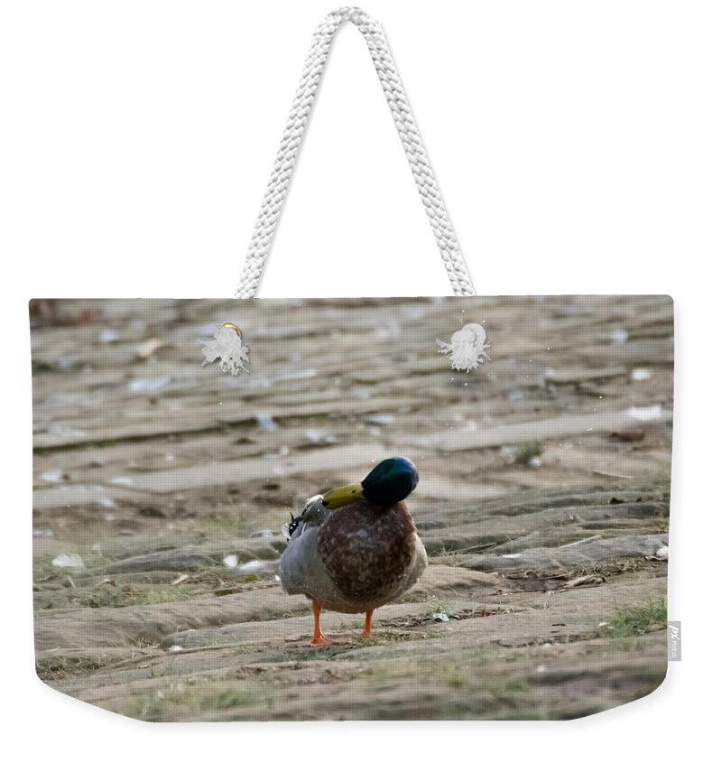 Duck Weekender Tote Bag featuring the photograph Duck Shakes It Off by Holden The Moment
