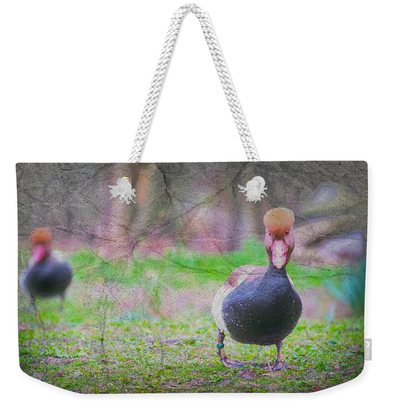 Animals Weekender Tote Bag featuring the photograph Ducks Outside The Lake by Rabiri Us
