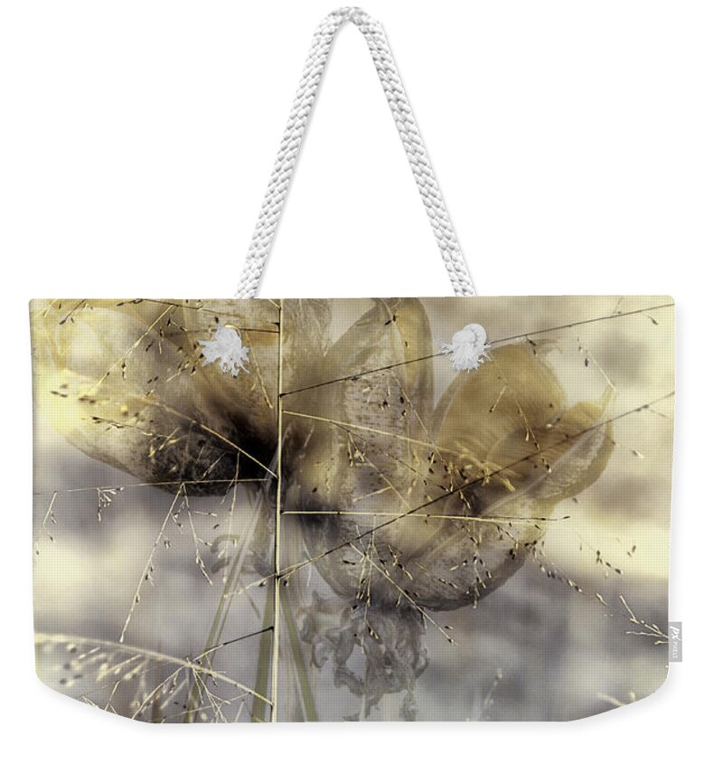 Dune Grass Weekender Tote Bag featuring the digital art Dune Grass on Yucca by Georgianne Giese