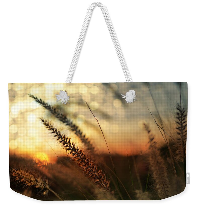Beach Weekender Tote Bag featuring the photograph Dune by Laura Fasulo