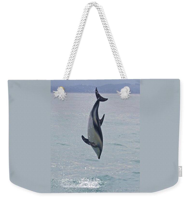 Dolphin Weekender Tote Bag featuring the photograph Dusky Dolphin, Kaikoura, New Zealand by Venetia Featherstone-Witty