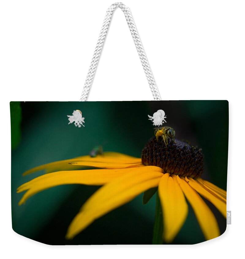 Bee Weekender Tote Bag featuring the photograph Dusty Bee by Shane Holsclaw