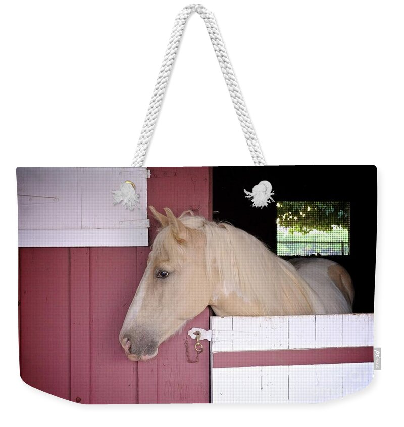 Dusty Weekender Tote Bag featuring the photograph Dusty by Bridgette Gomes