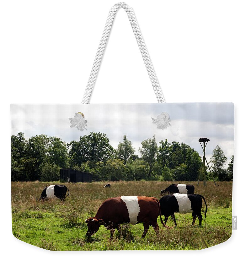 Netherlands Weekender Tote Bag featuring the photograph Dutch Belted Cows by Roel Meijer