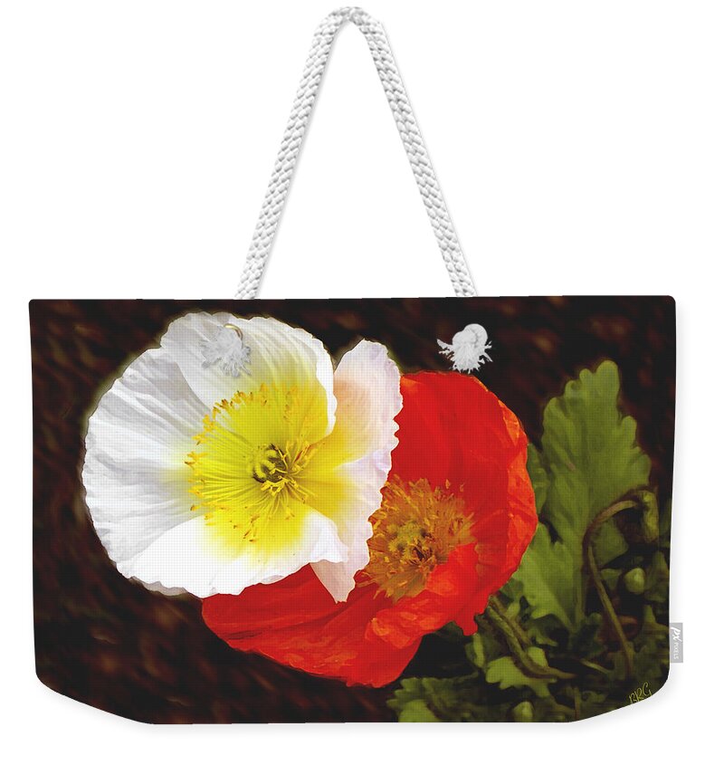 Iceland Poppies Weekender Tote Bag featuring the photograph Eager Poppies by Ben and Raisa Gertsberg
