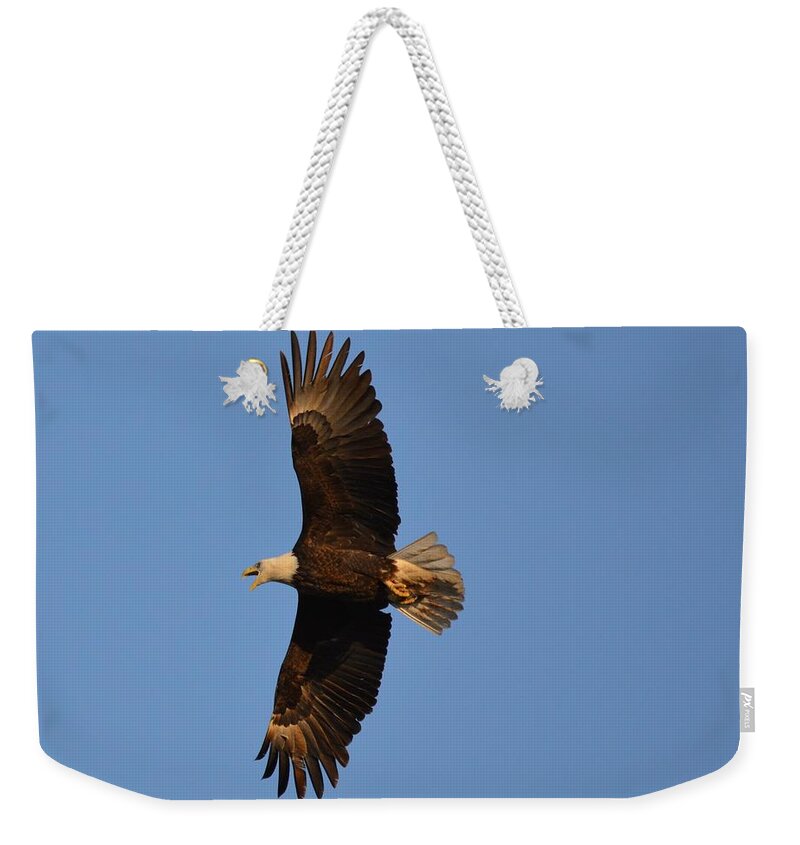 Eagle Weekender Tote Bag featuring the photograph Eagle Flight 4 by Bonfire Photography