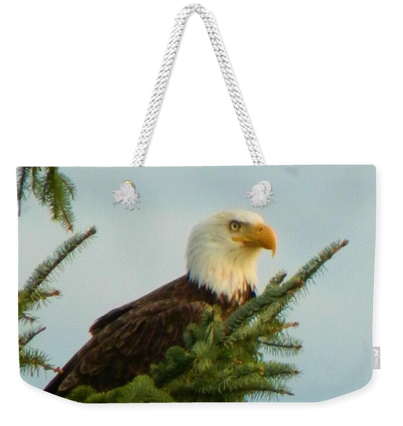 Landscape Weekender Tote Bag featuring the photograph Eagle in Tree by Gallery Of Hope 