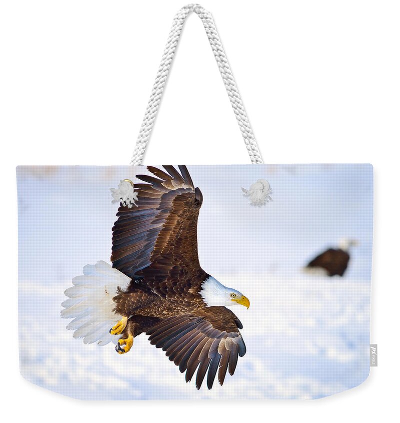 Bald Eagle Weekender Tote Bag featuring the photograph Eagle Landing by Greg Norrell