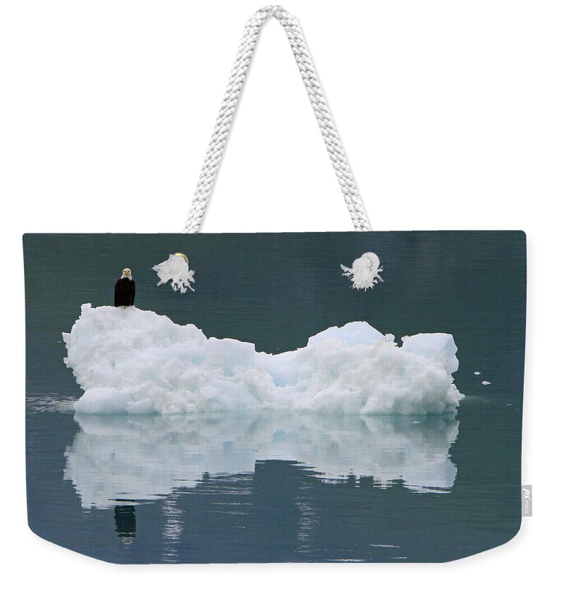 Eagle Weekender Tote Bag featuring the photograph Eagle on Ice by Shoal Hollingsworth