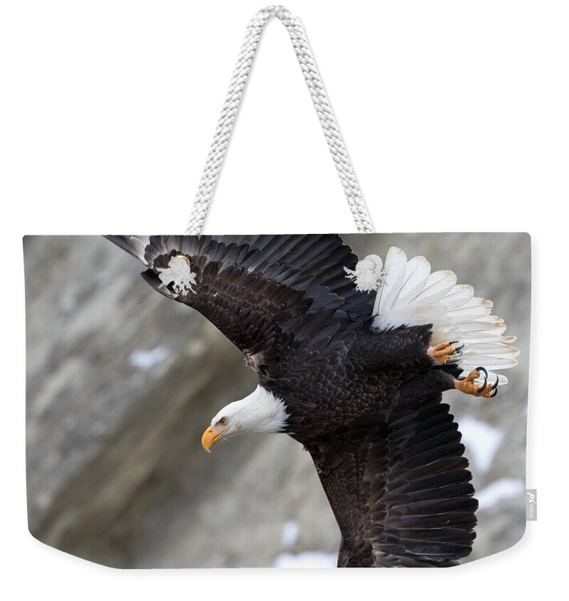 Bald Eagle Weekender Tote Bag featuring the photograph Eagle Takeoff Illustration by Max Waugh