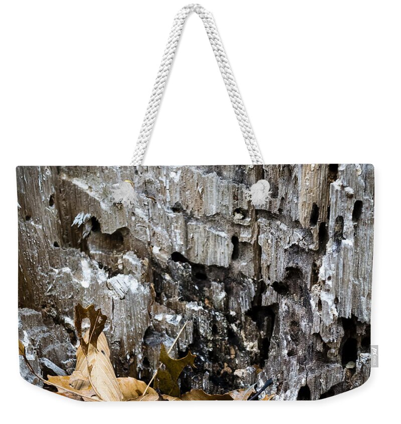 Tree Weekender Tote Bag featuring the photograph Eagles's Nest 2 by Frank Winters
