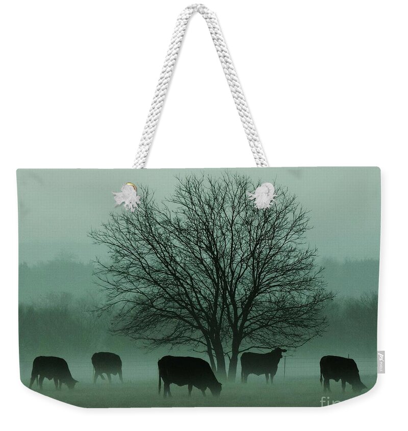 Morning Fog Weekender Tote Bag featuring the photograph Early Morning Fog 003 by Robert ONeil