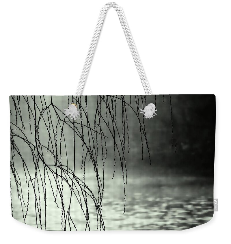 Fog Weekender Tote Bag featuring the photograph Early Morning Fog by Elaine Manley