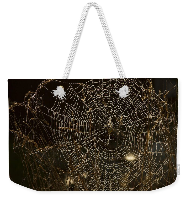 Spider Web Weekender Tote Bag featuring the photograph Early Riser by David Yocum