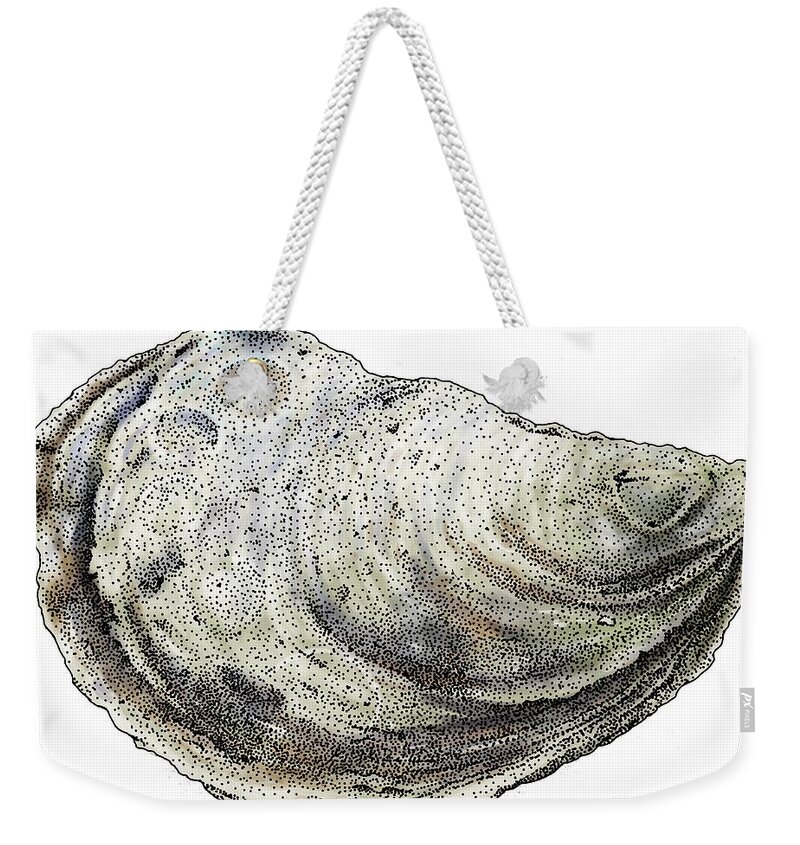 Eastern Oyster Weekender Tote Bag featuring the photograph Eastern Oyster by Roger Hall