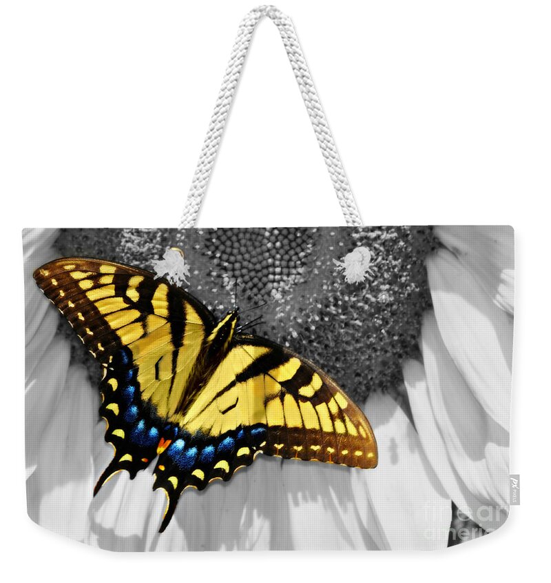 Eastern Weekender Tote Bag featuring the photograph Eastern Tiger Swallow Tail by Eric Liller
