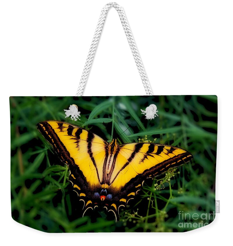 Eastern Tiger Swallowtail Butterfly Prints Weekender Tote Bag featuring the photograph Eastern Tiger Swallowtail Butterfly by Jerry Cowart