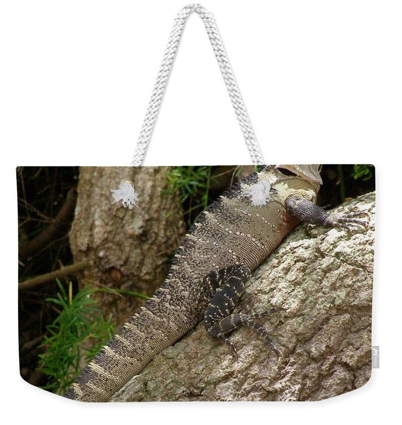 Eastern Water Dragon Weekender Tote Bag featuring the photograph Eastern Water Dragon by Bev Conover