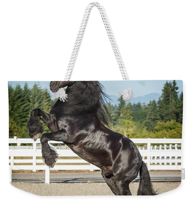 Ebony Beauty Weekender Tote Bag featuring the photograph Ebony Beauty by Wes and Dotty Weber