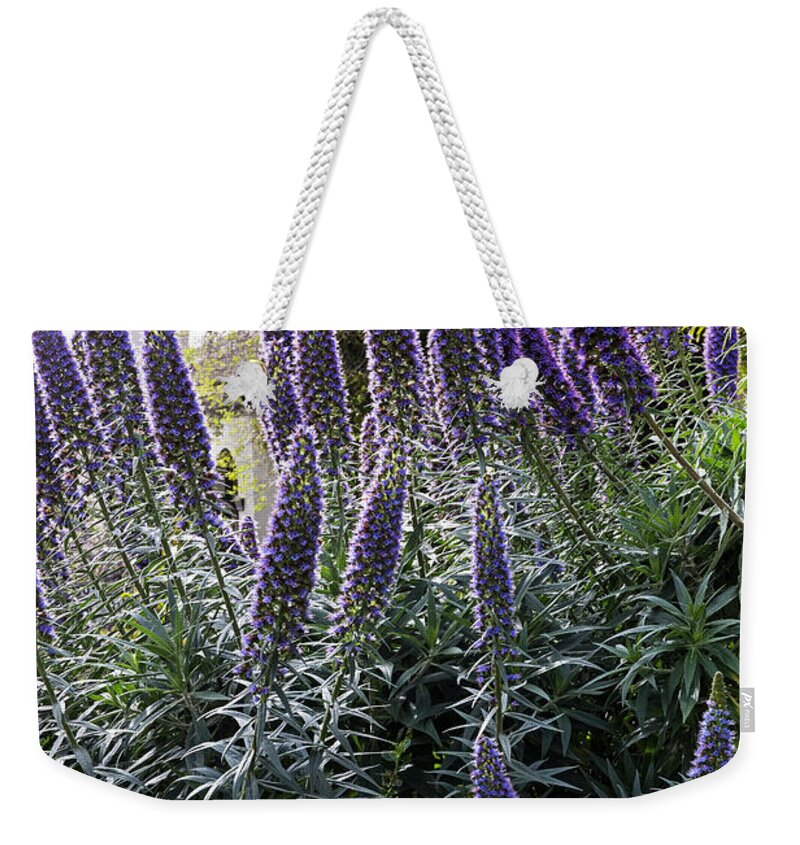 Backlight Weekender Tote Bag featuring the photograph Echium and Tower by Kate Brown