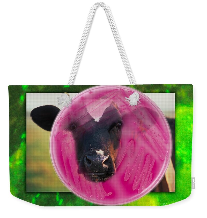 Cattle Weekender Tote Bag featuring the photograph E coli by George Mattei