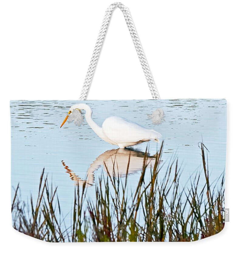 American Coot Weekender Tote Bag featuring the photograph Egret and Coot in Autumn by Kate Brown