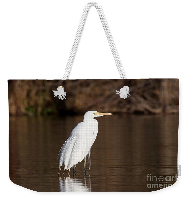 Egret Weekender Tote Bag featuring the photograph Egret at daybreak by Ruth Jolly