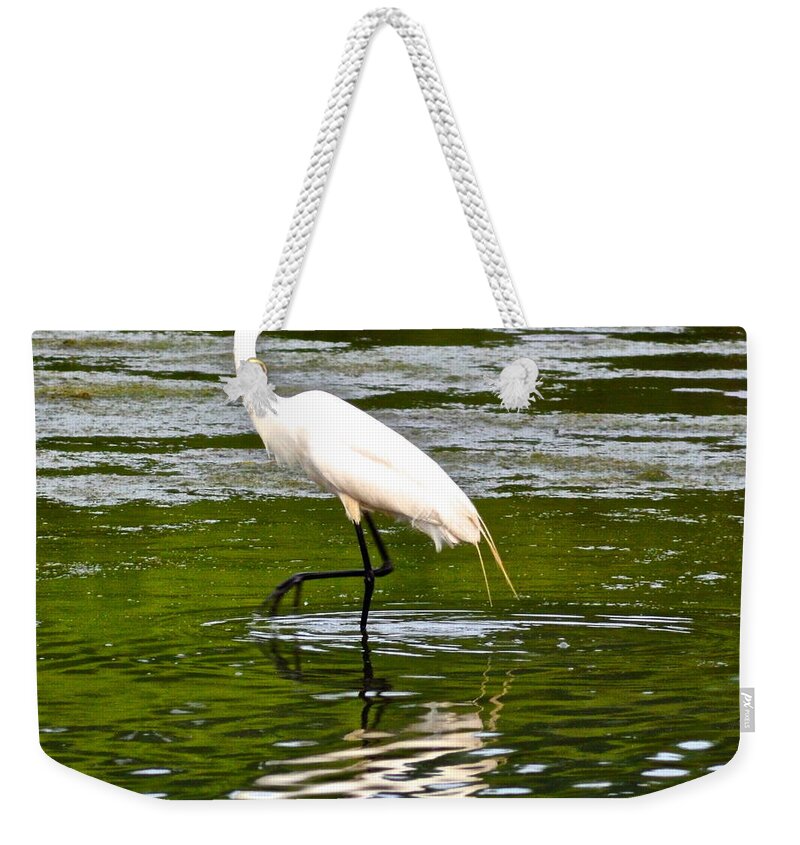 Egret Weekender Tote Bag featuring the photograph Egret by Frozen in Time Fine Art Photography